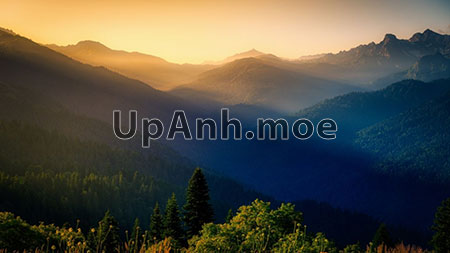 image-watermark-tool
